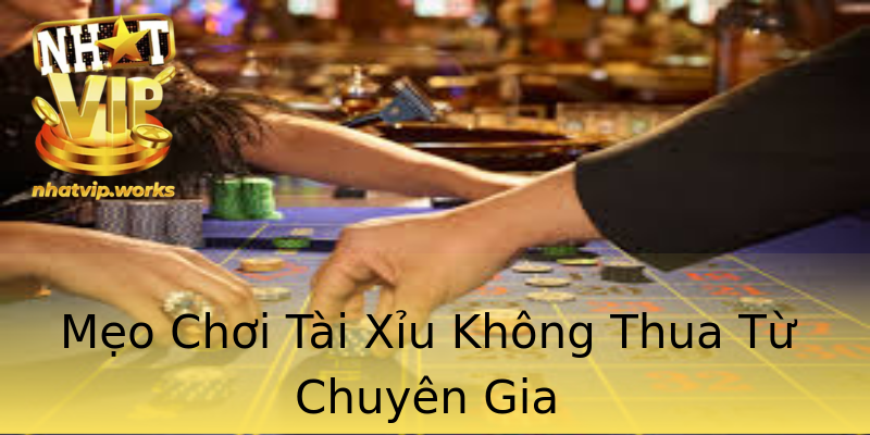 Mẹo Chơi Tài Xỉu Không Thua Từ Chuyên Gia Mẹo Chơi Tài Xỉu Không Thua Từ Chuyên Gia